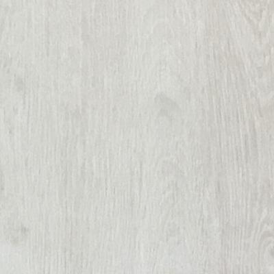 ARCTILE_A